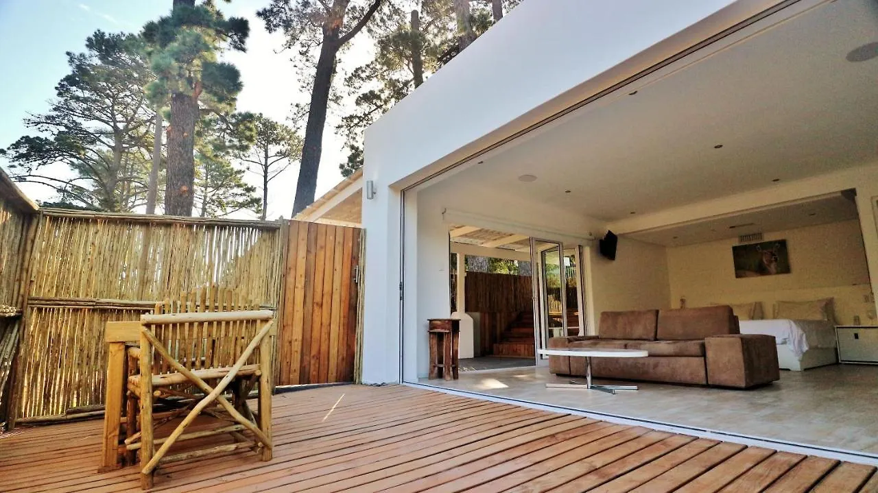 Thelab Cape Town Hotel Hout Bay