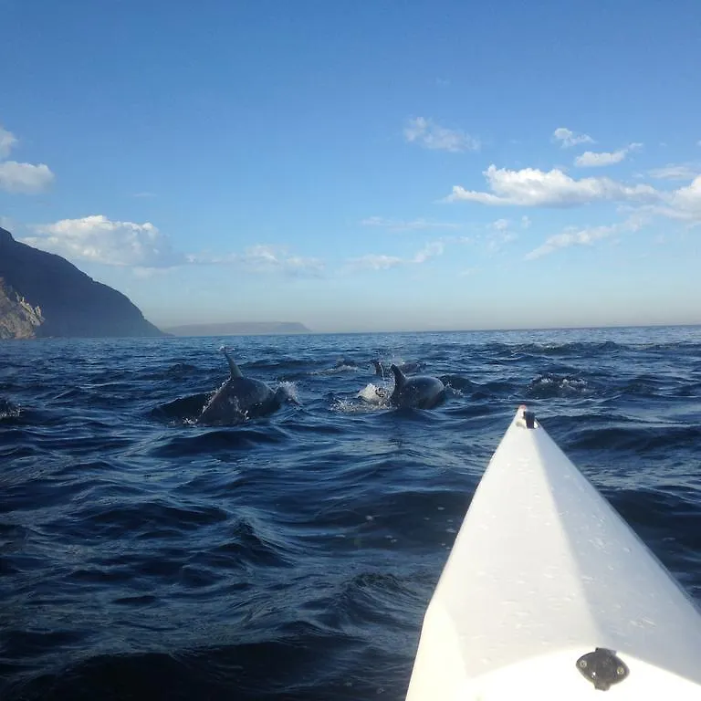 Thelab Cape Town Hotel Hout Bay Guest house